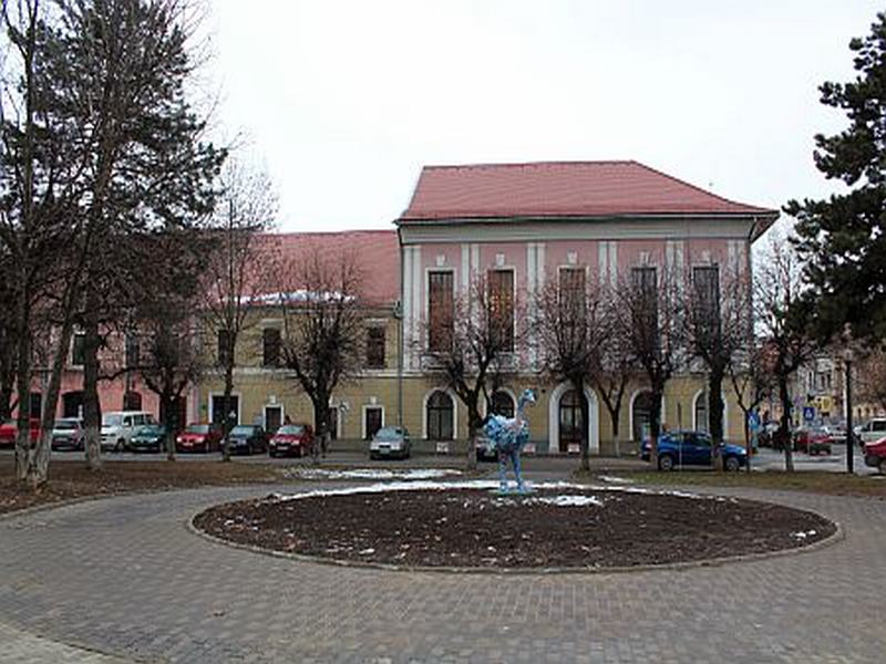 Primăria Bistrița caută un inspector pentru Direcția Integrare Europeană
