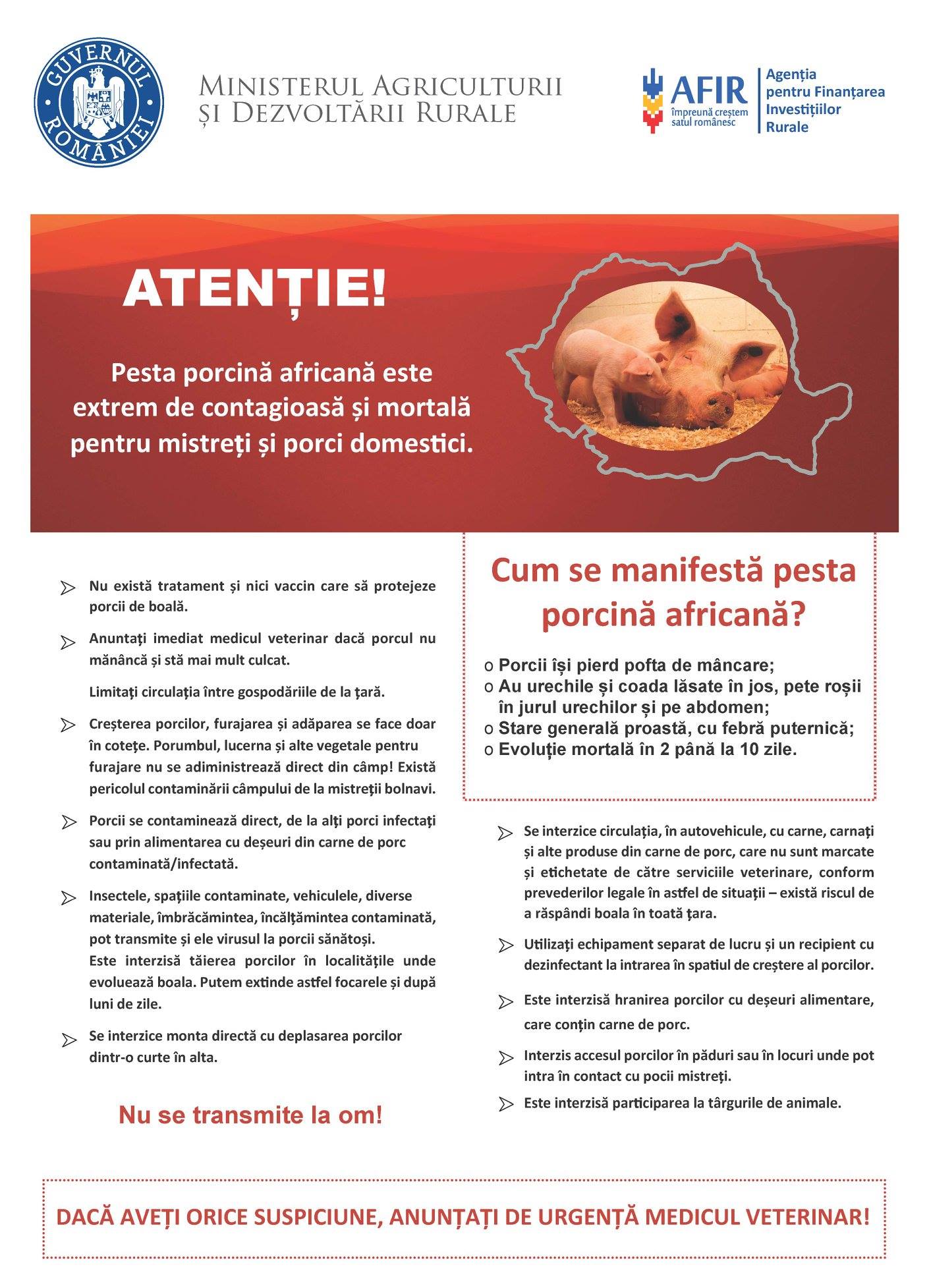 Numărul focarelor de Pestă Porcină Africană (PPA) la porc domestic a scăzut în județul Sălaj