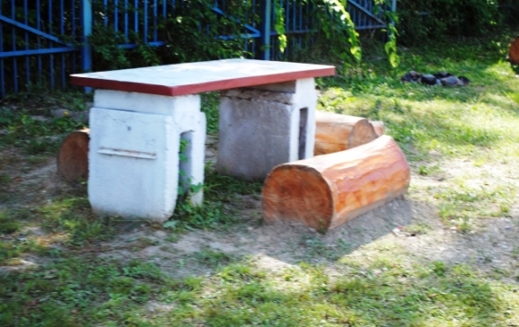 Polițiștii locali din Oradea l-au prins pe cele care fura mobilier urban din zona Parcului Silvaș