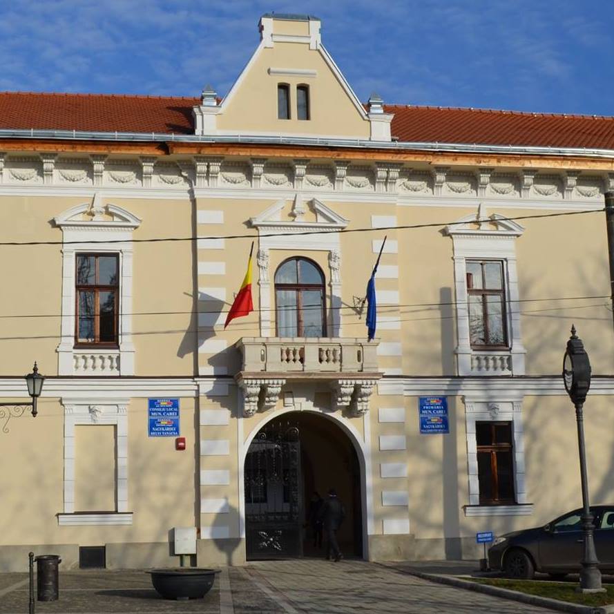 Date la zi despre recensământ în municipiul Carei