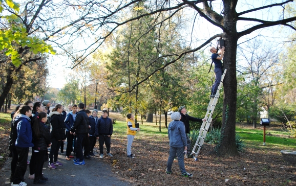 Parcul Petofi din Oradea găzduiește proiectul ”România prinde aripi”