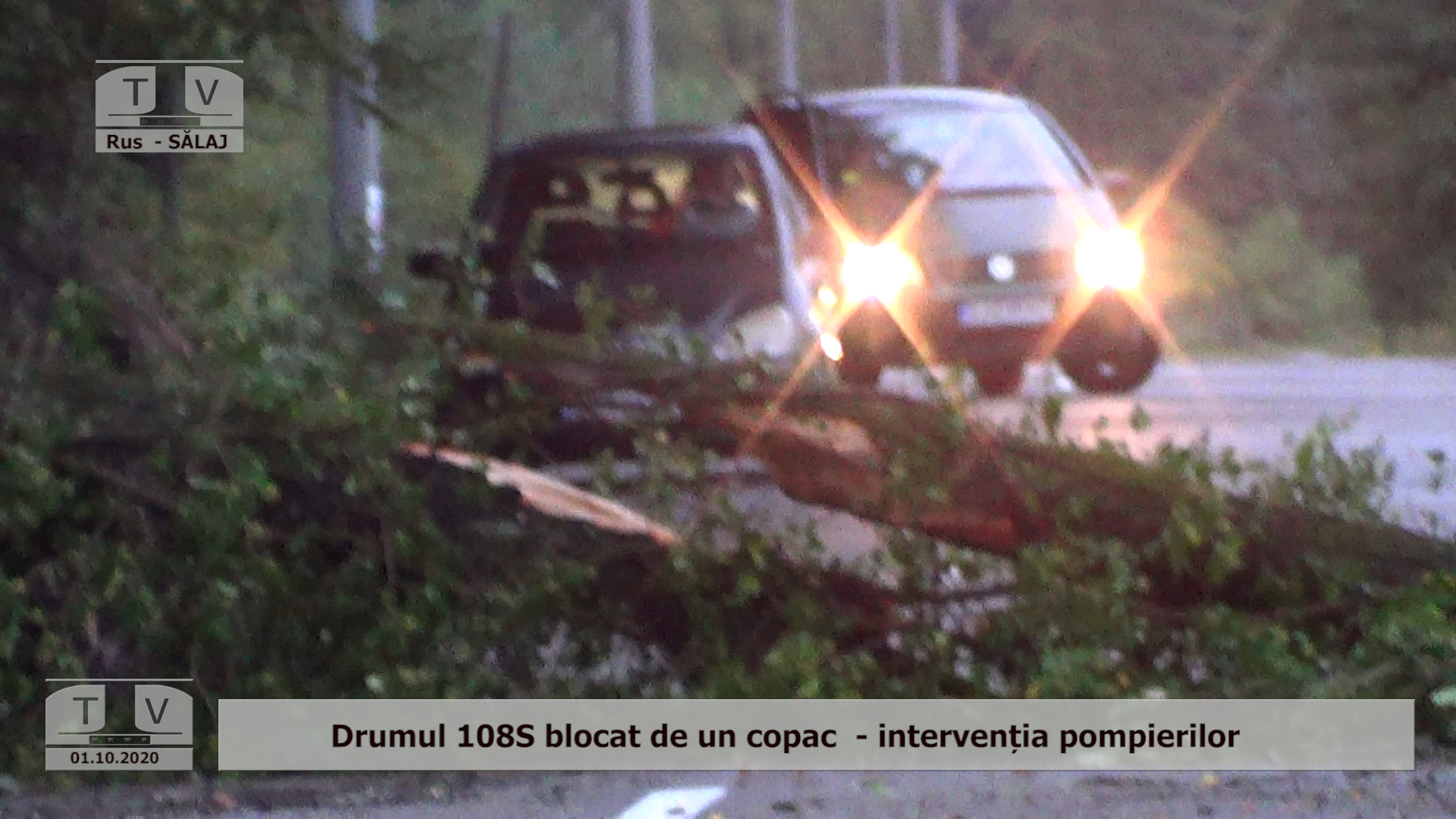 Intervenție promptă a pompierilor, după ce un copac a blocat drumul dintre Rus și Buzaș (VIDEO)