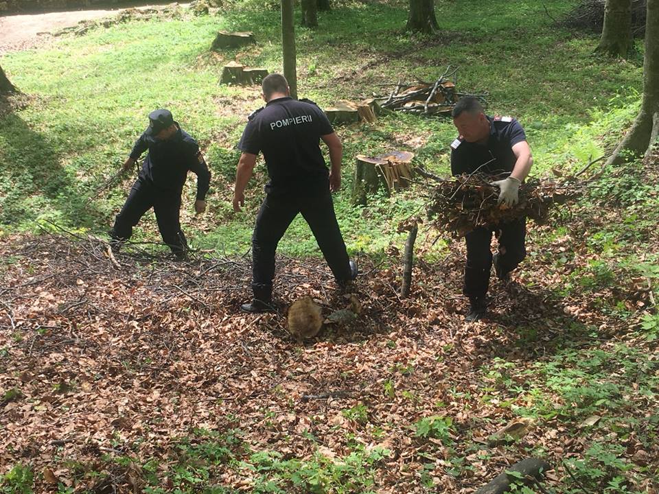 Sarmizegetusa Regia se pregătește înainte de deschiderea sezonului de vară