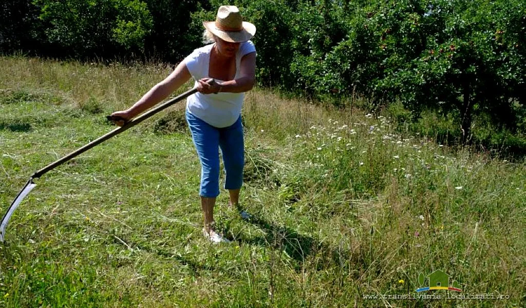 Ironia sorţii – De la vâslă, la coasă! (VIDEO)