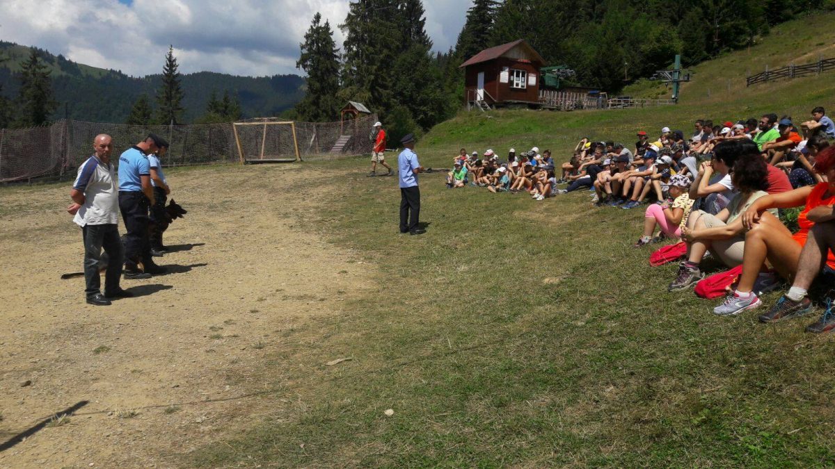 Câinii Saşa şi Zara, alături de jandarmi în tabăra Alpina Blazna