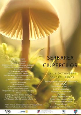 „Sărbătoarea ciupercilor” de va desfășura în Colești (duminică, 16 octombrie)