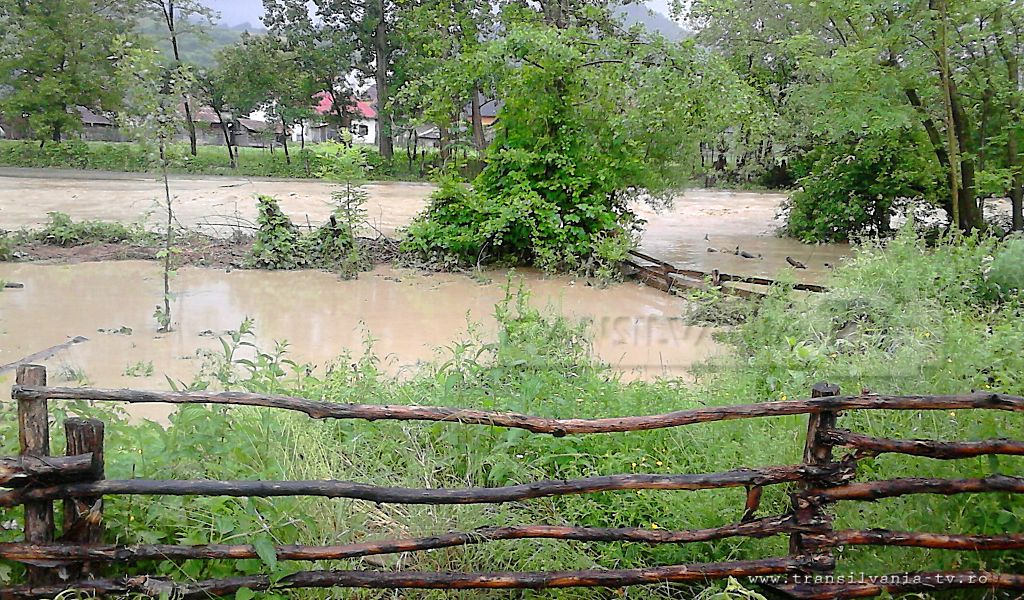 Furtuna de ieri a produs pagube serioase în Sălaj