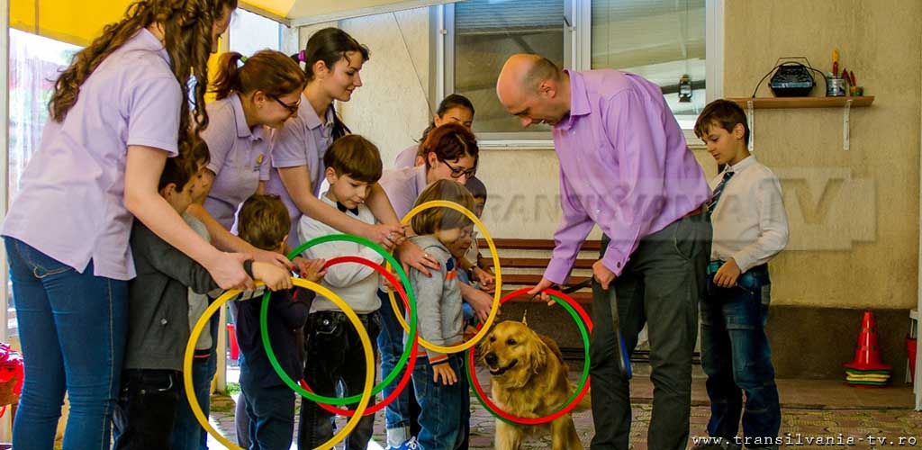 Program inedit realizat de un psiholog român: Delfinoterapie și terapie canină pentru copiii cu autism