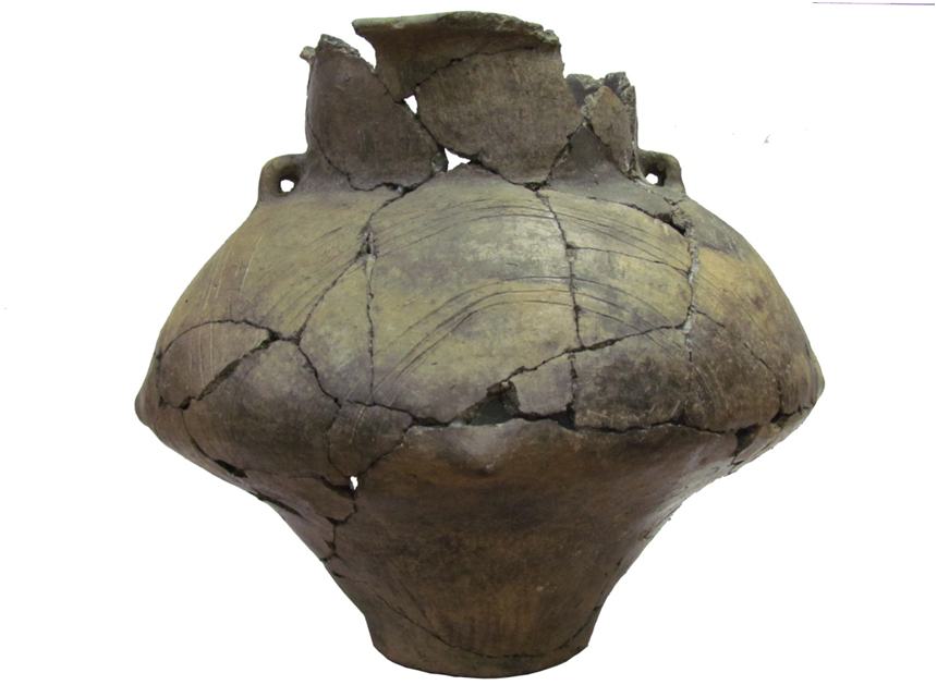 Muzeul Civilizației Dacice și Romane din Deva continuă expunerea în mediul on-line, astazi un vas ceramic preistoric.
