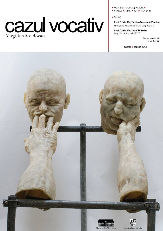 Expoziţia „Cazul vocativ”, la Muzeul de Artă Cluj-Napoca