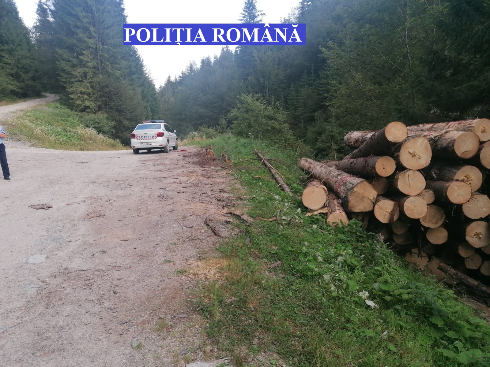 Politia in actiune!