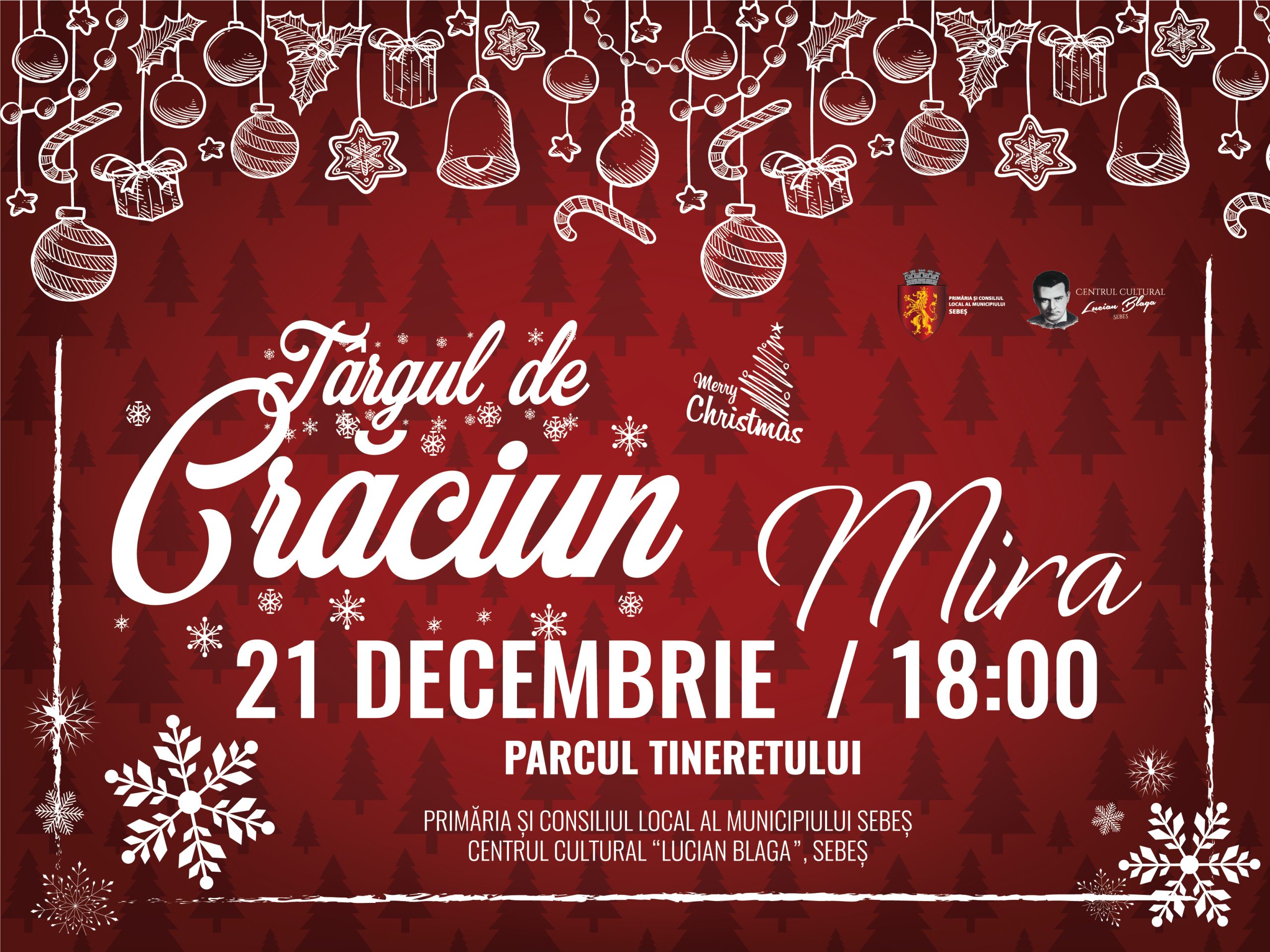 TÂRGUL DE CRĂCIUN SEBES 2018