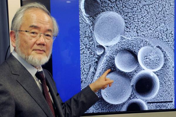 Premiul Nobel 2016: savantul Yoshinori Ohsumi a dovedit ca postul este benefic pentru organism