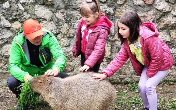 Ziua părinților adoptivi, la Zoo Oradea – capibara, cel mai adoptat animal