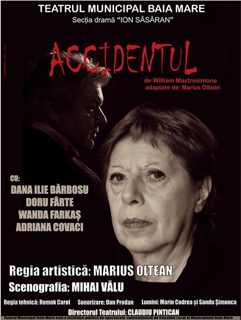 Programul Teatrului Municipal Baia Mare în perioada 21-26 ianuarie