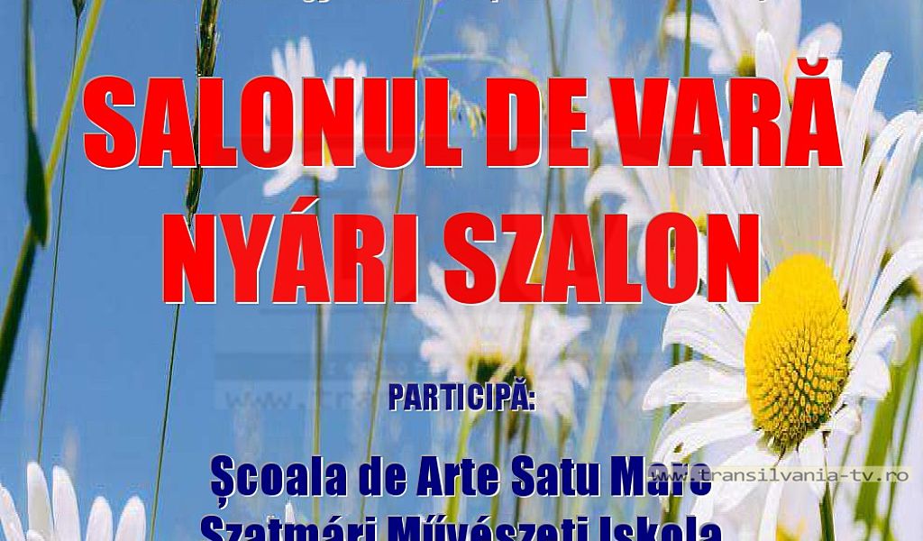 Sătmărenii invitați la vernisajul expoziției Festival de Vară