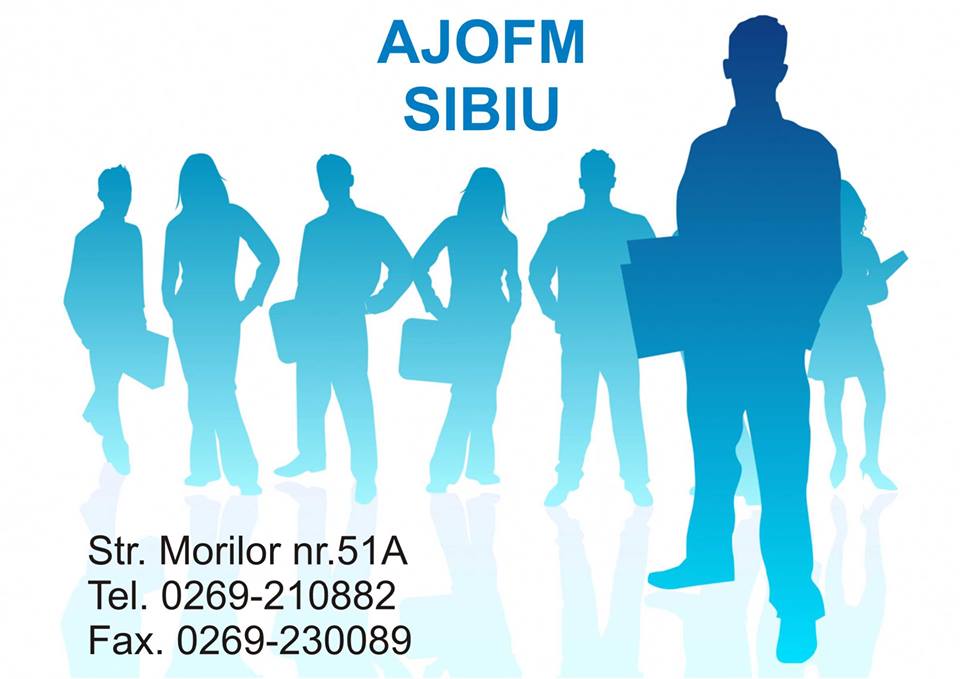 Situația șomajului în județul Sibiu la sfârșitul lunii iulie 2015