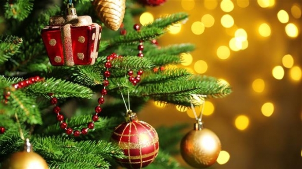 27, 28, 29 decembrie nu vor fi zile libere!
