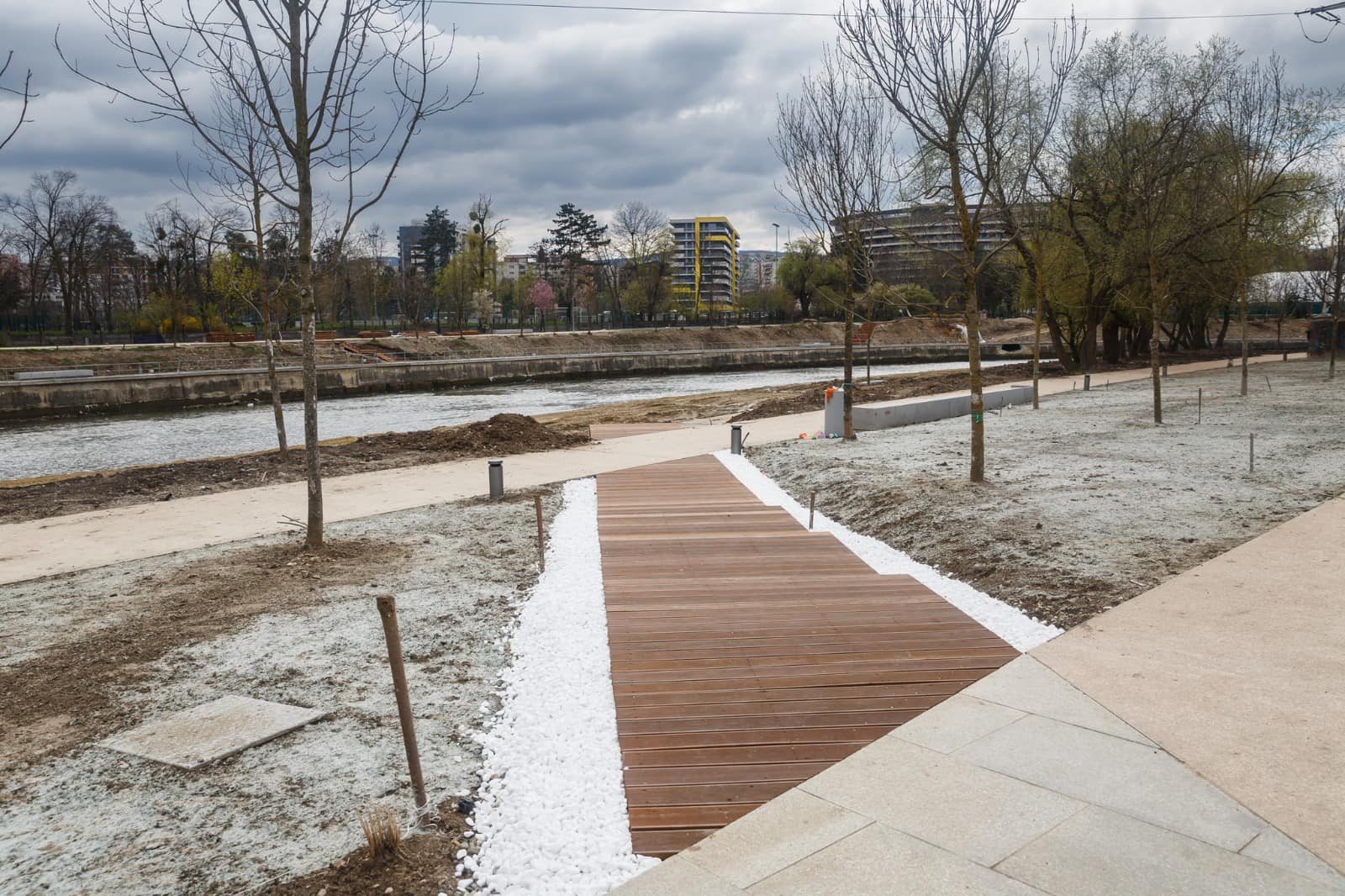 957 noi arbori în proiectul de revitalizare a malurilor Someșului din Cluj-Napoca
