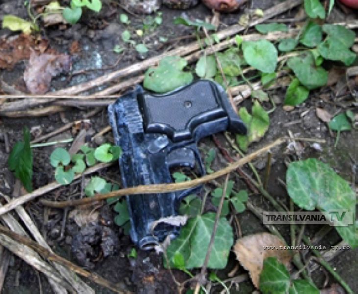 Două pistoale cu două încărcătoare găsite la balastiera Apa
