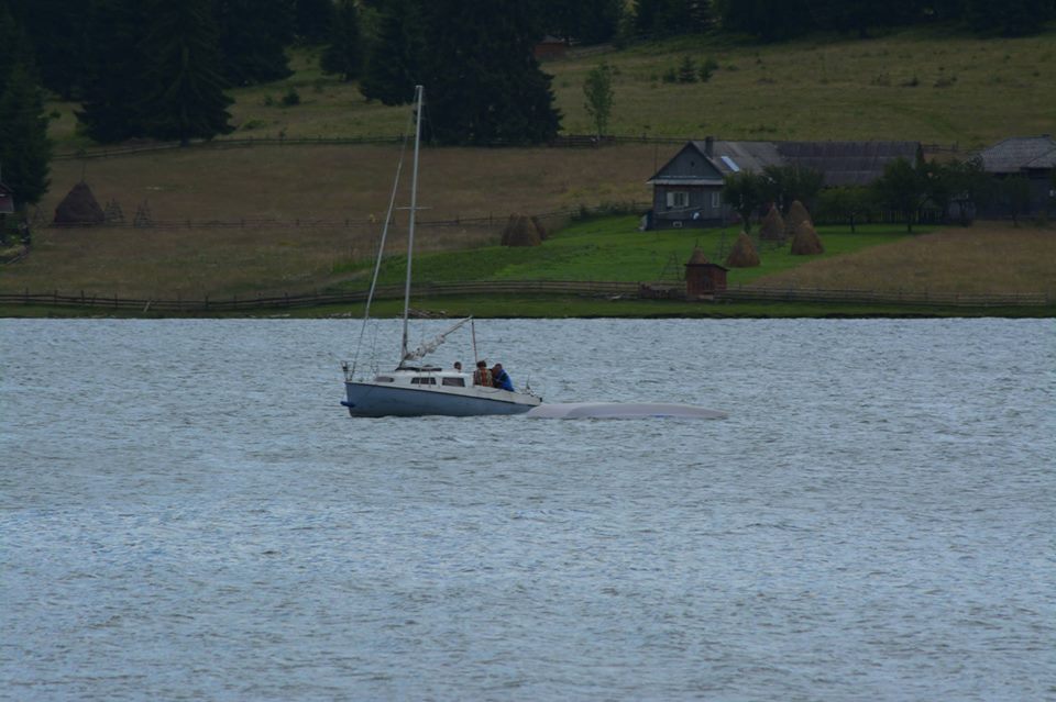 Barcă cu vele răsturnată de vânt pe lacul Colibiţa