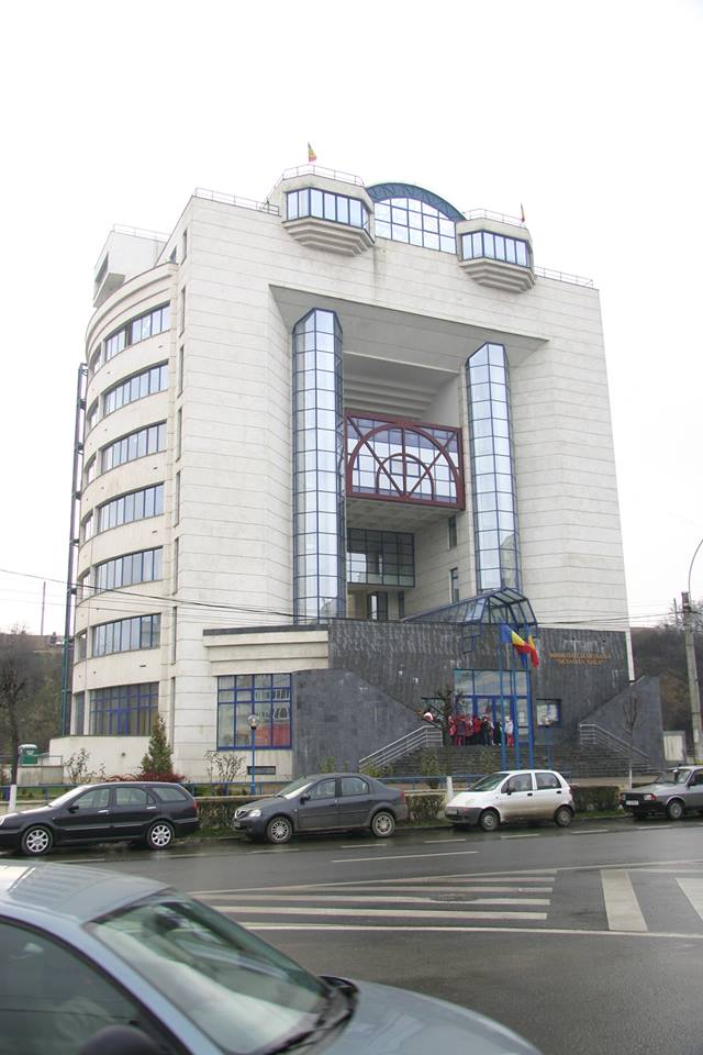 Atelier naţional „Definirea planului strategic de dezvoltare a sistemului de biblioteci publice din judeţul Cluj”