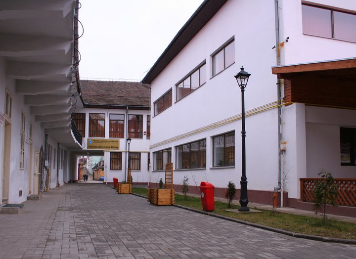 Mihai Eminescu sărbătorit la Biblioteca Municipală „St.L.Roth” Mediaş