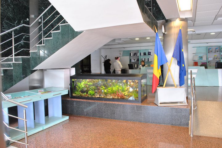 Agenda săptămânii 30 noiembrie – 5 decembrie la Biblioteca Judeţeană “Petre Dulfu” Baia Mare