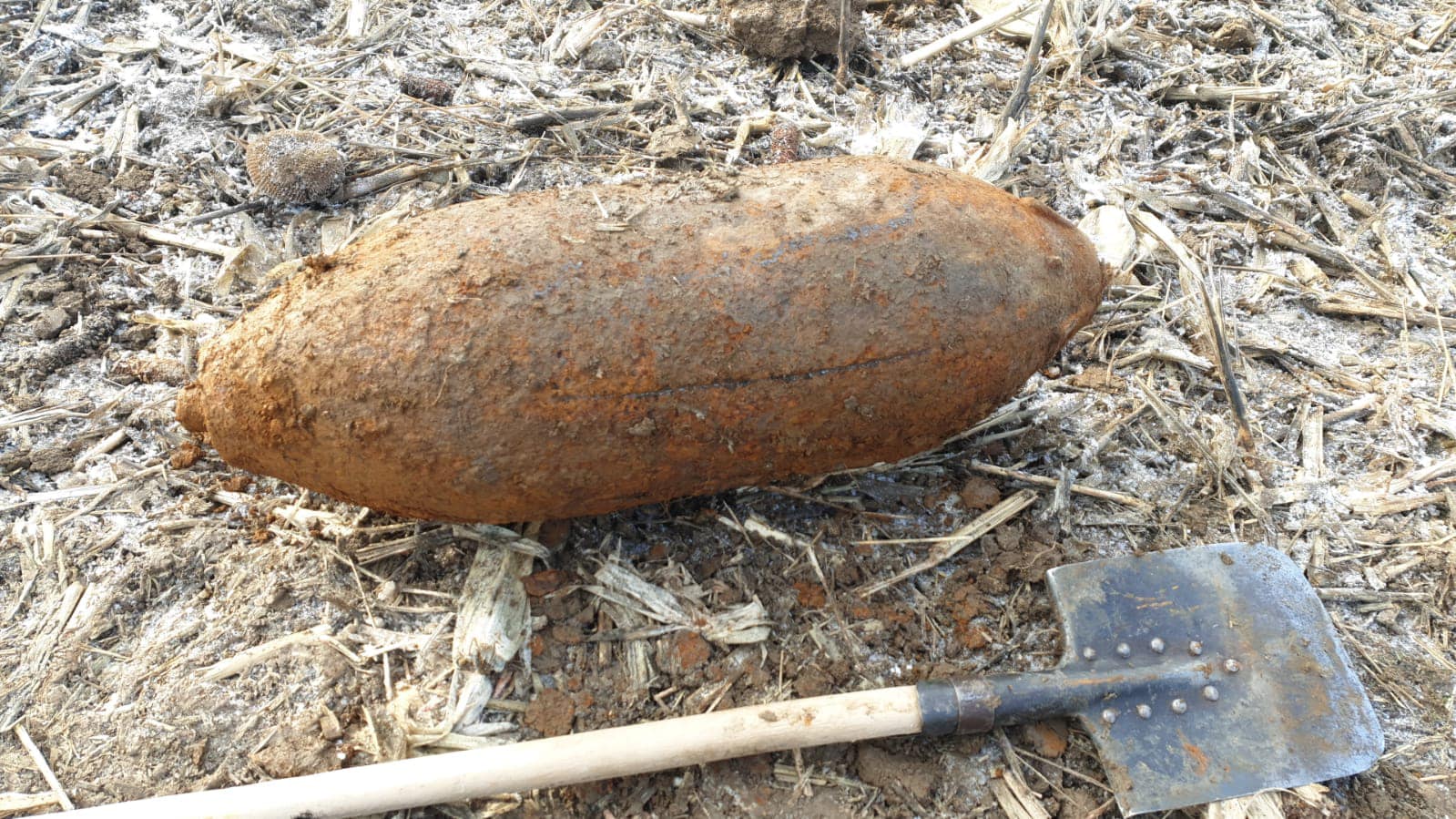 Intervenție pirotehnică în Satu Mare