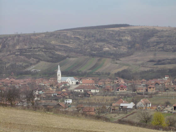 „Festivalul Vinului” de la Borla se va desfășura sâmbătă 1 martie