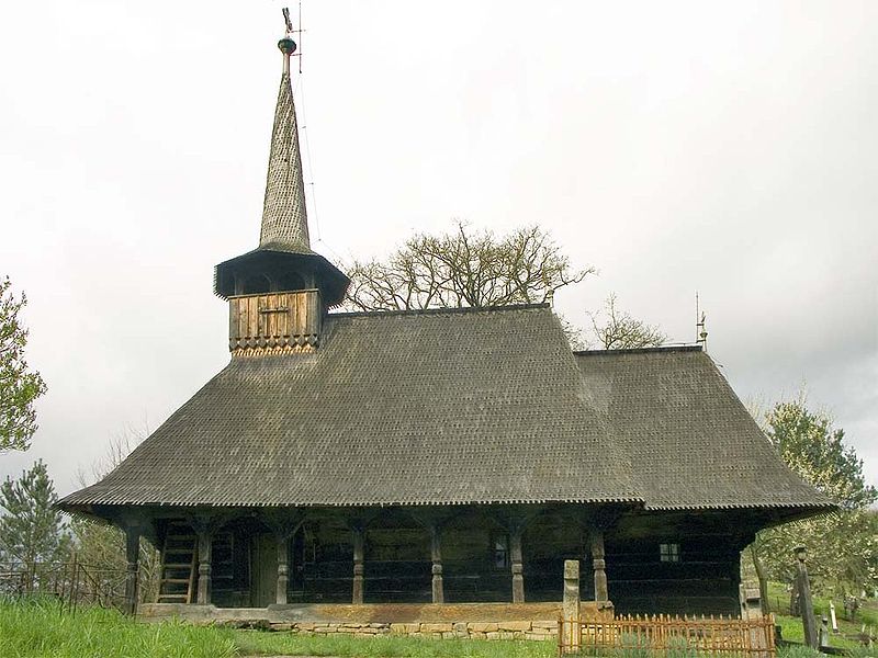 Sărbătoarea „Fiii satului BORZA – din nou ACASĂ”, la prima ediție (duminică, 29 iunie)