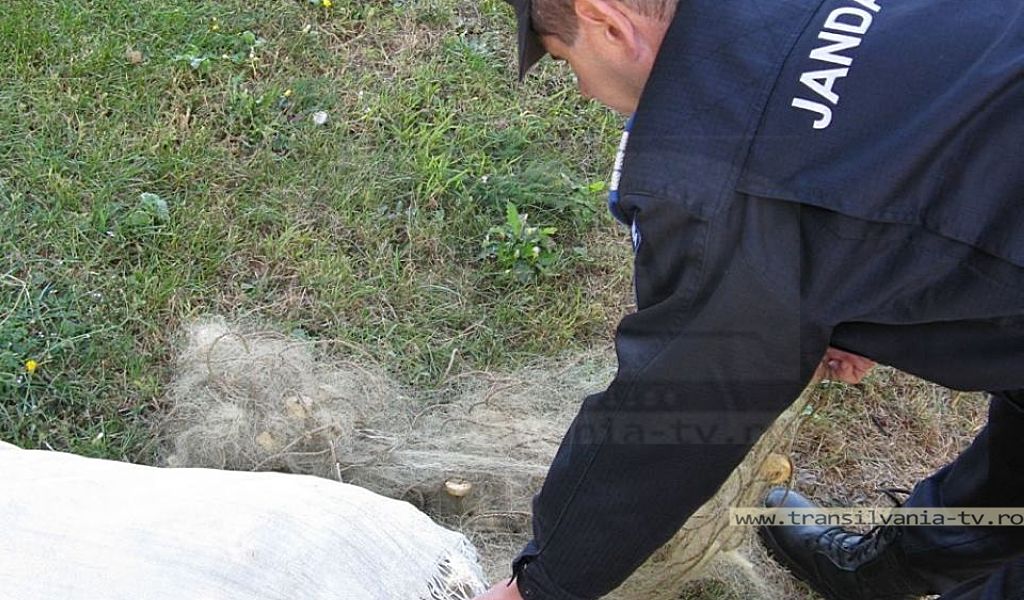 Jandarmii desfăşoară misiuni pe linia prevenirii şi combaterii braconajului piscicol
