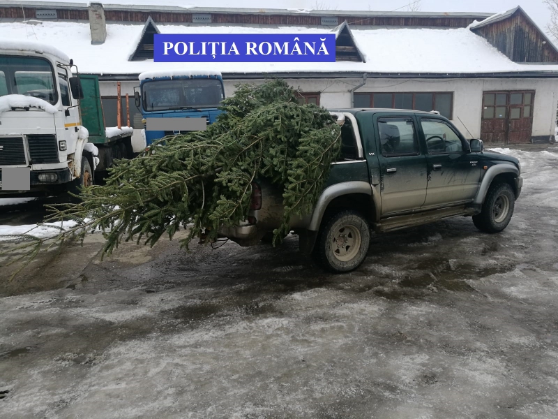 Acțiuni premergătoare sărbătorilor de iarnă desfășurate de polițiștii bistrițeni