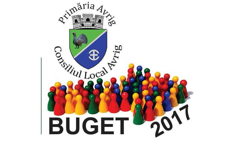 Bugetul Avrigului pentru 2017, în dezbatere publică