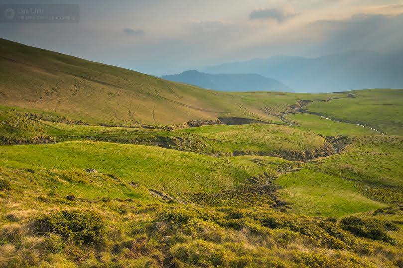 Baia Mare: A fost lansat filmul „Bun de la natură”