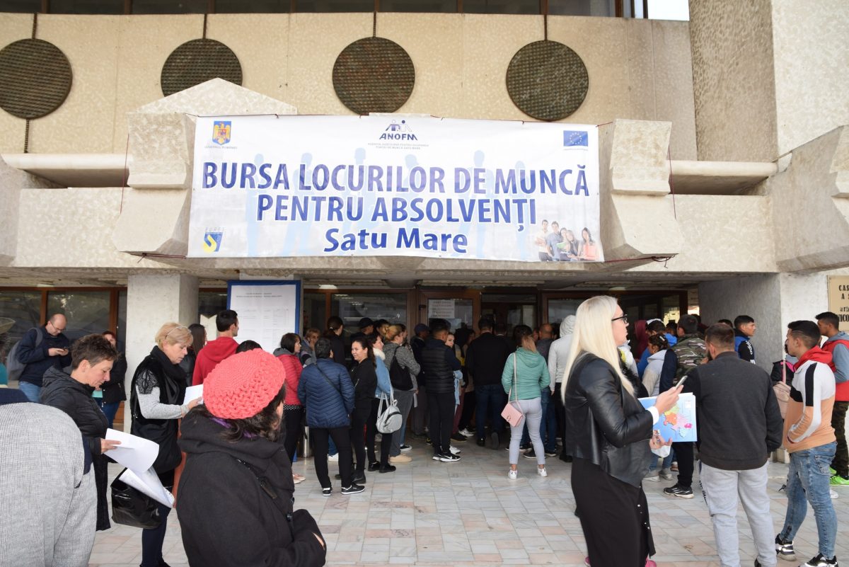 O nouă ediție de a Bursei Locurilor de Muncă pentru Absolvenți în Satu Mare