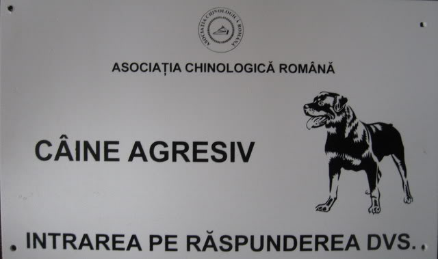 Câine agresiv, lăsat nesupravegheat în Baia Mare