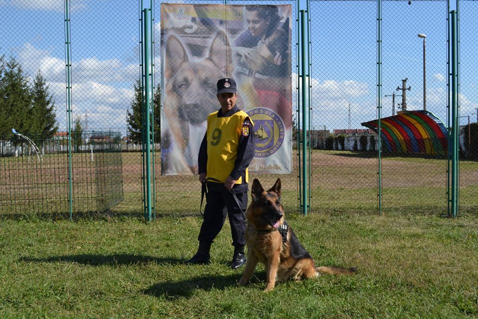 Câinele de căutare-salvare Leban, din cadrul ISU Sibiu, clasat pe primul loc la camionatul de dresaj al MAI