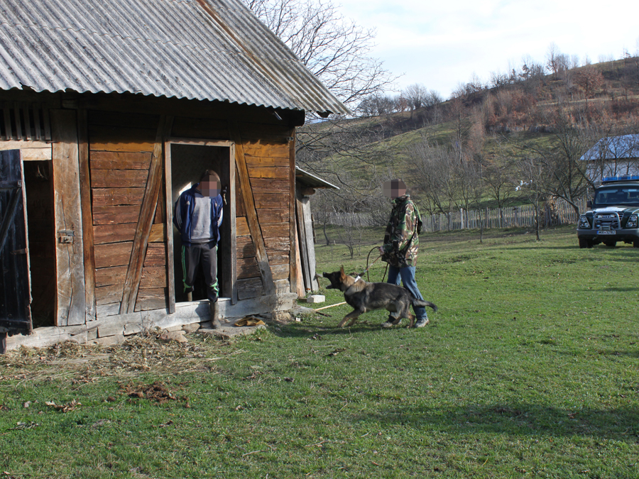 Ţigări şi contrabandişti descoperiţi cu ajutorul câinelui de urmă Noza