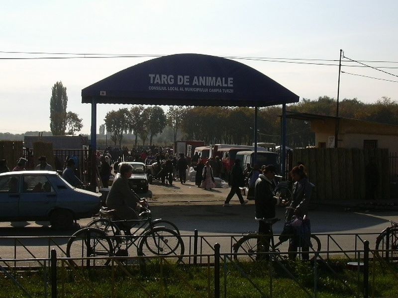 Îcepând de azi a fost interzisă comercializarea păsărilor vii în Târgul de Animale din Câmpia Turzii