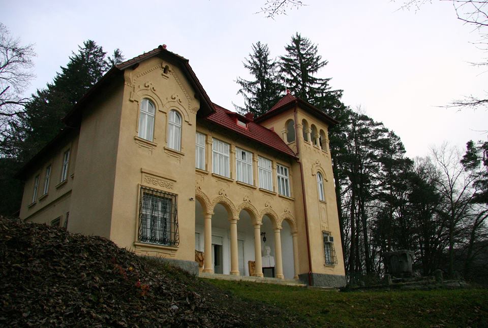 Consiliul Județean Cluj a câștigat procesul privind castelul Goga de la Ciucea