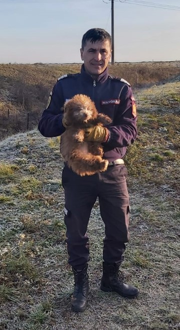 Cățel salvat de pompierii salontani