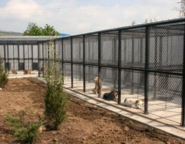 Se extinde Centrul de ecarisaj din Cluj-Napoca