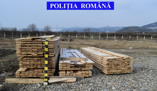 Cășeiu: Polițiștii au dispus confiscarea a peste 51 de metri cubi de material lemnos