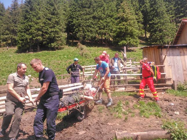 Cioban rănit salvat de jandarmi în Munţii Rodnei