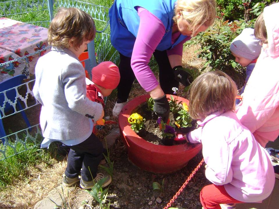 Turda: Campania “Colţul Verde” – Concurs între unităţile de învăţământ