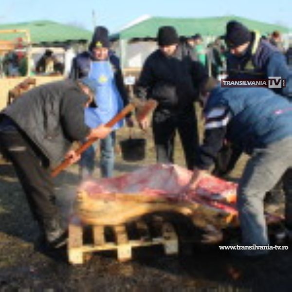 Concurs de taiat porci, la Tasnad