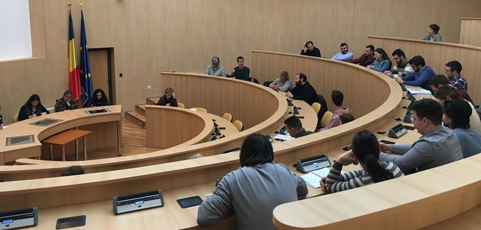 Consiliului consultativ pentru politici de tineret, constituit în Sibiu