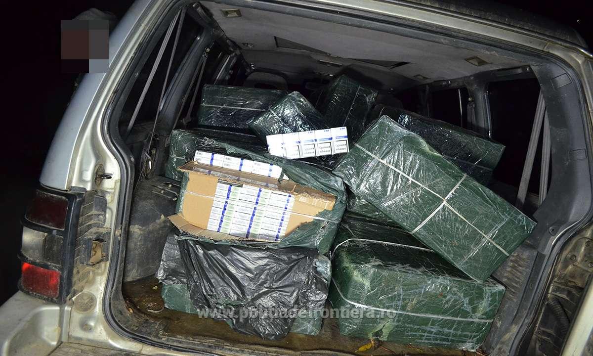 Doi maramureșeni cercetați pentru contrabandă și 13.460 pachete țigări confiscate