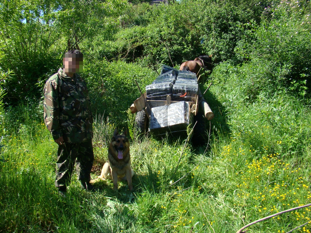 Contrabandă cu căruța la Câmpulung la Tisa. Un autoturism plin cu țigări a fost descoperit în Săpânța